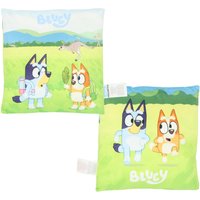 Bluey kussen