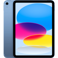 iPad 11" 256GB Wifi+5G