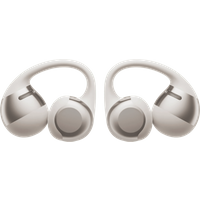 Shokz OpenDots ONE Zilver
