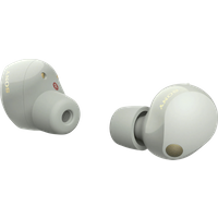 Sony WF-1000XM5 Zilver
