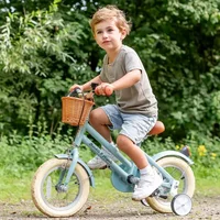 Kinderfiets 12 inch met zijwieltjes blauw, vanaf 3 jaar Retro Rider met mandje - Bandits and Angels
