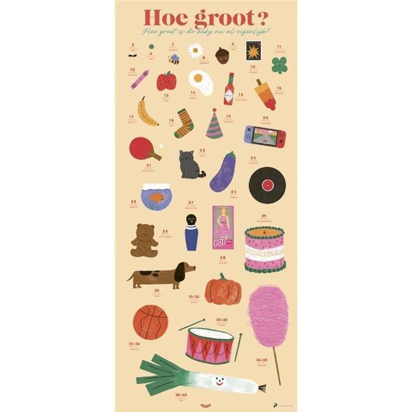 Coppens - Poster Hoe Groot?