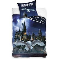 Harry Potter dekbedovertrek - DE